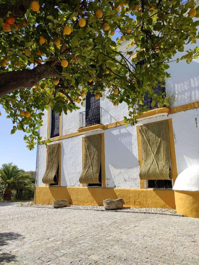 Finca Las Rosas De Santa Ana Villamartín Zewnętrze zdjęcie