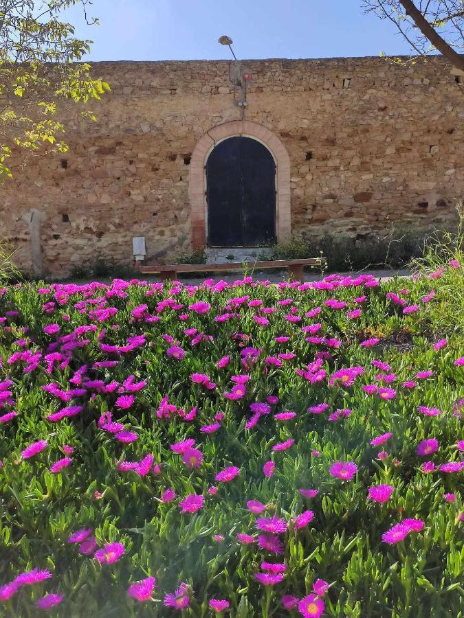 Finca Las Rosas De Santa Ana Villamartín Zewnętrze zdjęcie