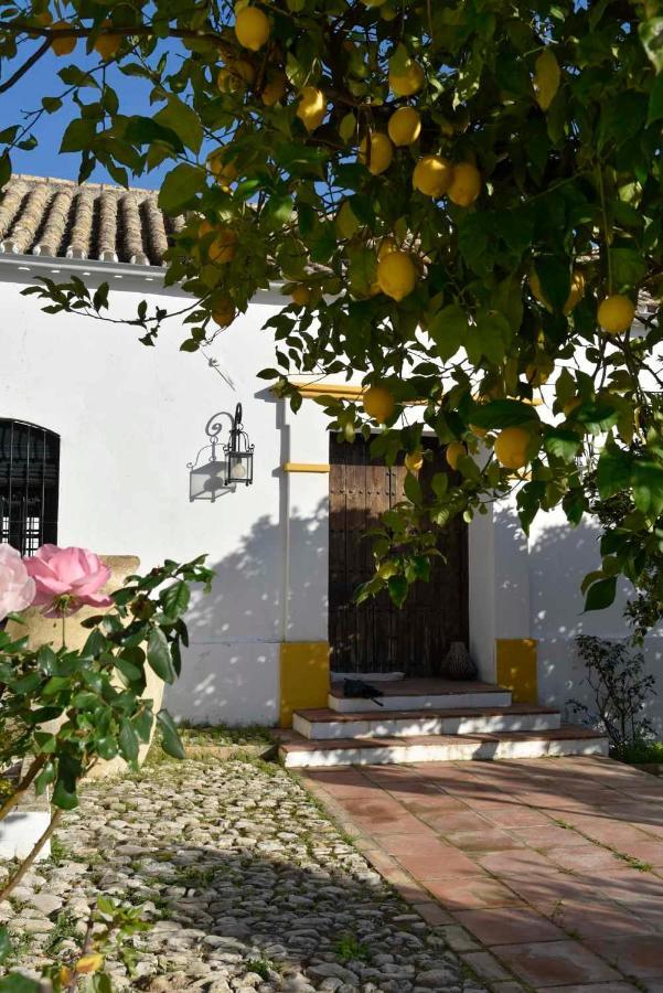 Finca Las Rosas De Santa Ana Villamartín Zewnętrze zdjęcie