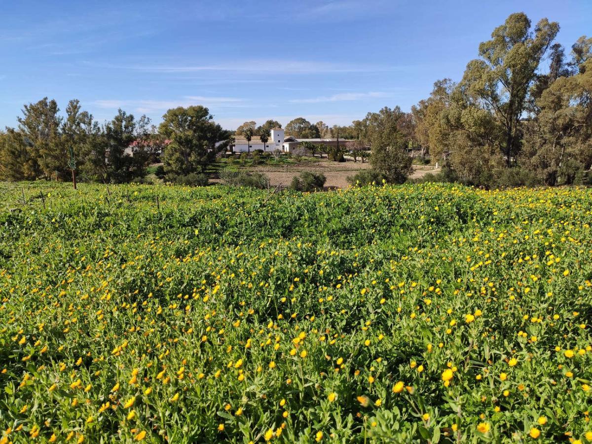 Finca Las Rosas De Santa Ana Villamartín Zewnętrze zdjęcie